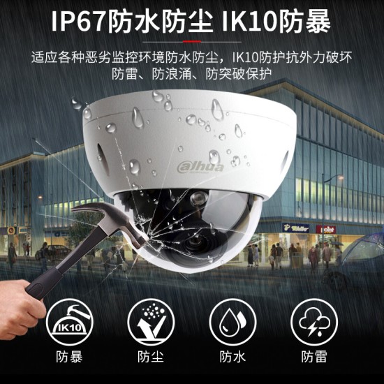 dahua大华监控摄像头 200万防暴半球网络高清监控器家用 室外防水红外夜视POE供电