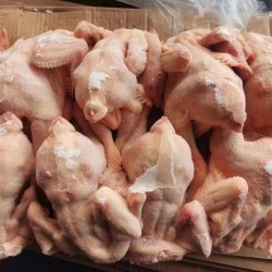 三黄鸡 航润  11200 元/吨   数量： 1 吨    仓库：河南郑州市     产地：中国