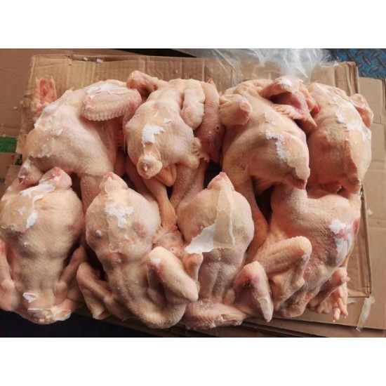 三黄鸡 航润  11200 元/吨   数量： 1 吨    仓库：河南郑州市     产地：中国