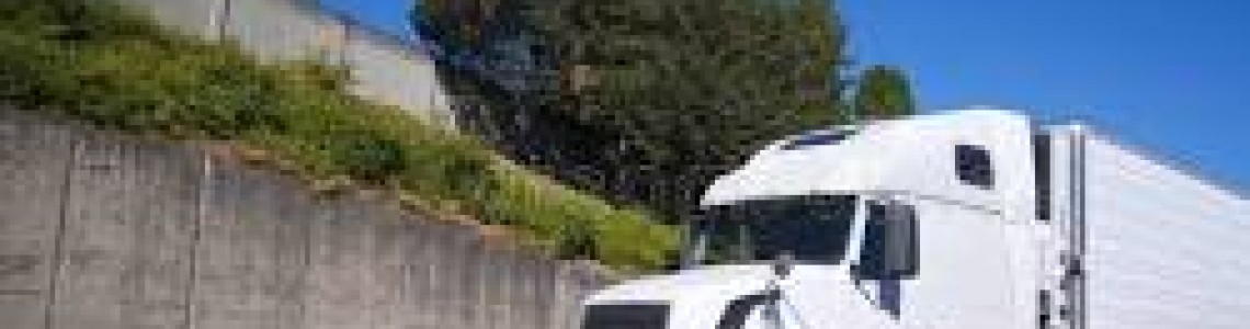 大漠深处的鲜肉奇迹：鲜香源冷链与高品质原切的供应优势