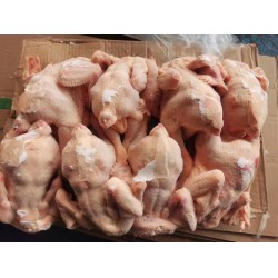 三黄鸡 航润  11200 元/吨   数量： 1 吨    仓库：河南郑州市     产地：中国