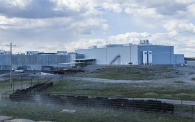 连锁餐饮的“救火英雄”：鲜香源标准化供应与高效调配